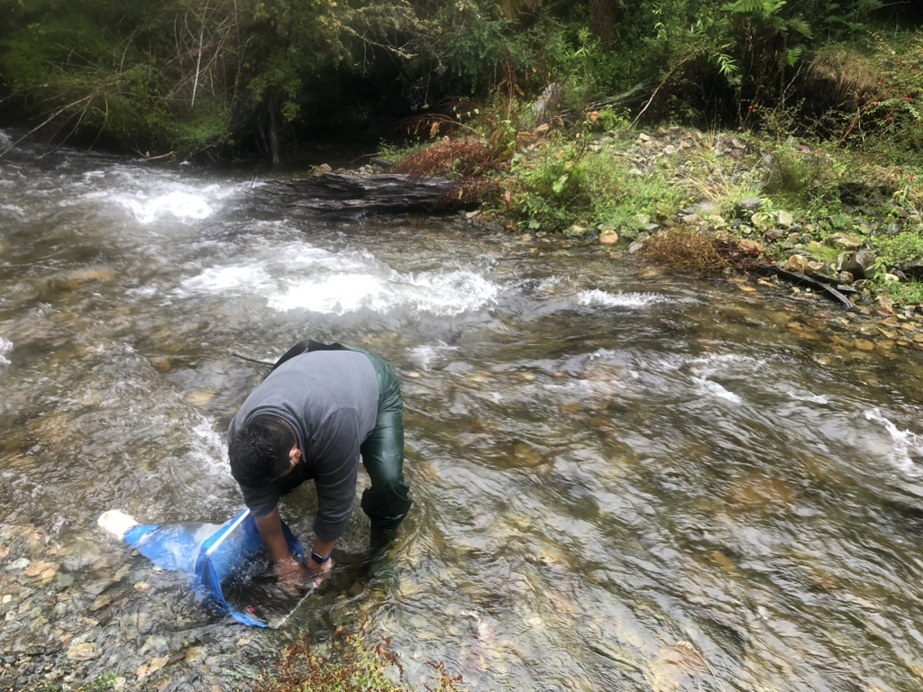 Muestreo cuantitativo de macroinvertebrados bentónicos
